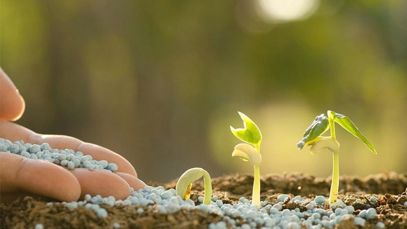 کود مناسب گیاهان آپارتمانی،جمع‌بندی