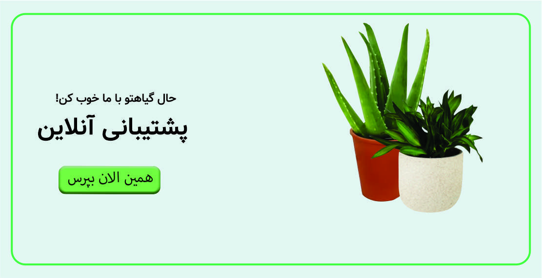 پشتیبانی آنلاین سبزفن