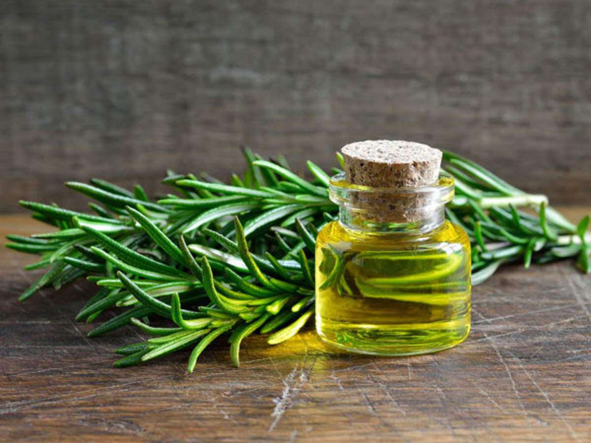 خواص درمانی رزماری سبزفن